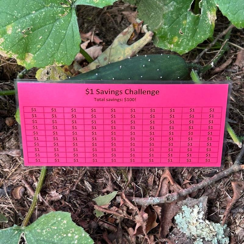 Laminated $1 Money Savings Challenge