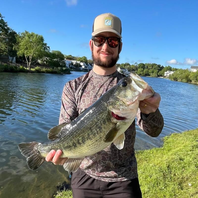 USA BASS TACKLE Patriot Shad Premium Paddle Tail Swimbait Bass Fishing Lure with Realistic 3D Eye & Detailed Design for Freshwater & Saltwater Angling