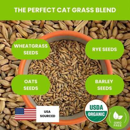 ZESTIGREENS Organic Cat Grass Seeds - Non-Gmo Blend of Wheat, Oats, Rye & Barley for Indoor Cats | Seeds Come in Food Grade Container with Lid for Easier Scooping & Keeping Fresher