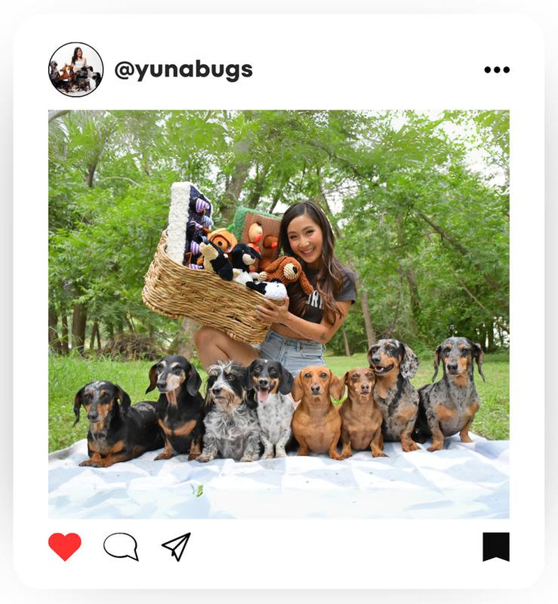 Sleeping Booties - the Weens X Patchwork Pet - Super Soft Plush Dog Toy, Squeaky, Crinkly Sound, Dachshund Plushie - 12"