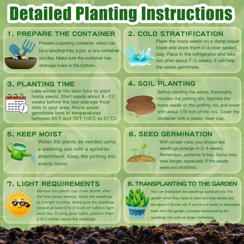 Rare Hosta Flower Seeds for Perennial Shade Garden Ornamental Foliage for Landscaping Outdoor