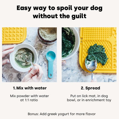 Kayode Probiotic Lickable Functional Treat for Lick Mats or Dog Food