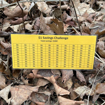 Laminated $1 Money Savings Challenge