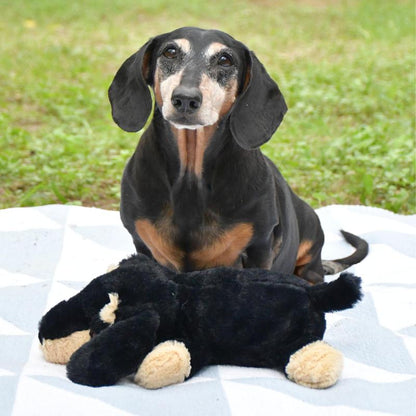 Sleeping Booties - the Weens X Patchwork Pet - Super Soft Plush Dog Toy, Squeaky, Crinkly Sound, Dachshund Plushie - 12"