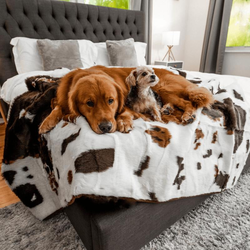 Pupprotector Waterproof Luxury Faux Fur Washable Dog Throw Blanket, 60" L X 50" W, Brown Faux Cowhide