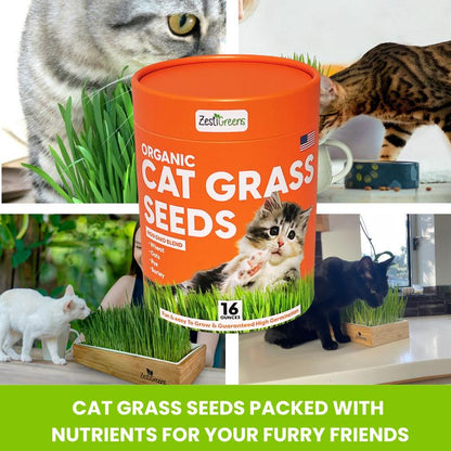 ZESTIGREENS Organic Cat Grass Seeds - Non-Gmo Blend of Wheat, Oats, Rye & Barley for Indoor Cats | Seeds Come in Food Grade Container with Lid for Easier Scooping & Keeping Fresher