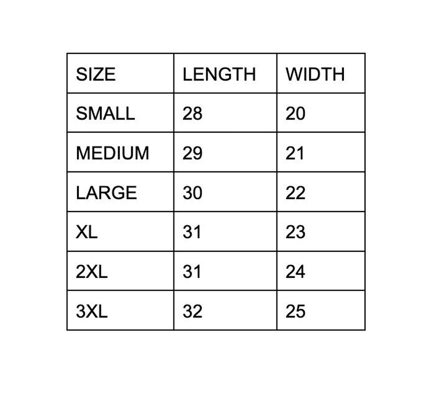 Guyana Amazon Warriors CPL Cricket Jersey 2024 - Replica