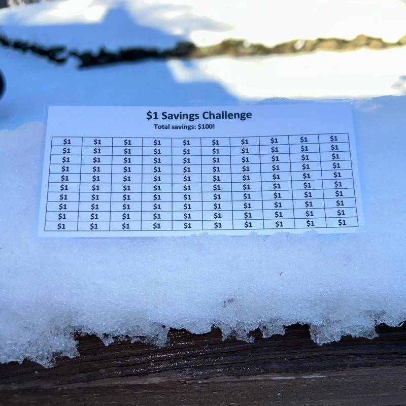 Laminated $1 Money Savings Challenge