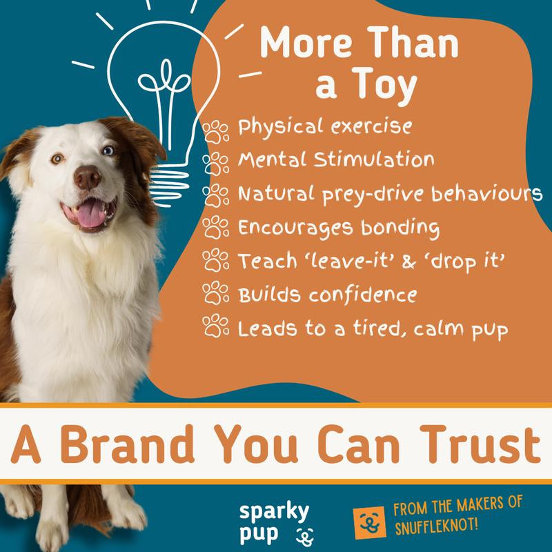 Ruffle Tug Plush Tug Toy | Dog Toys | Tug Toy | Dog Games | Bungee Dog Toy | Dog Enrichment Toys | Interactive Dog Toys |Mentally Stimulating Toys for Dogs | Dog Birthday Present