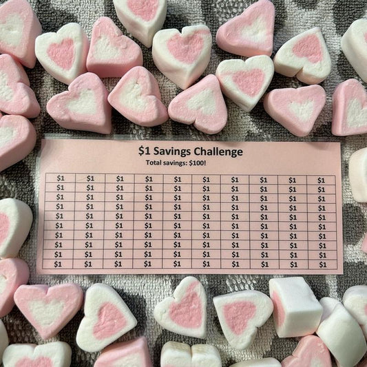 Laminated $1 Money Savings Challenge