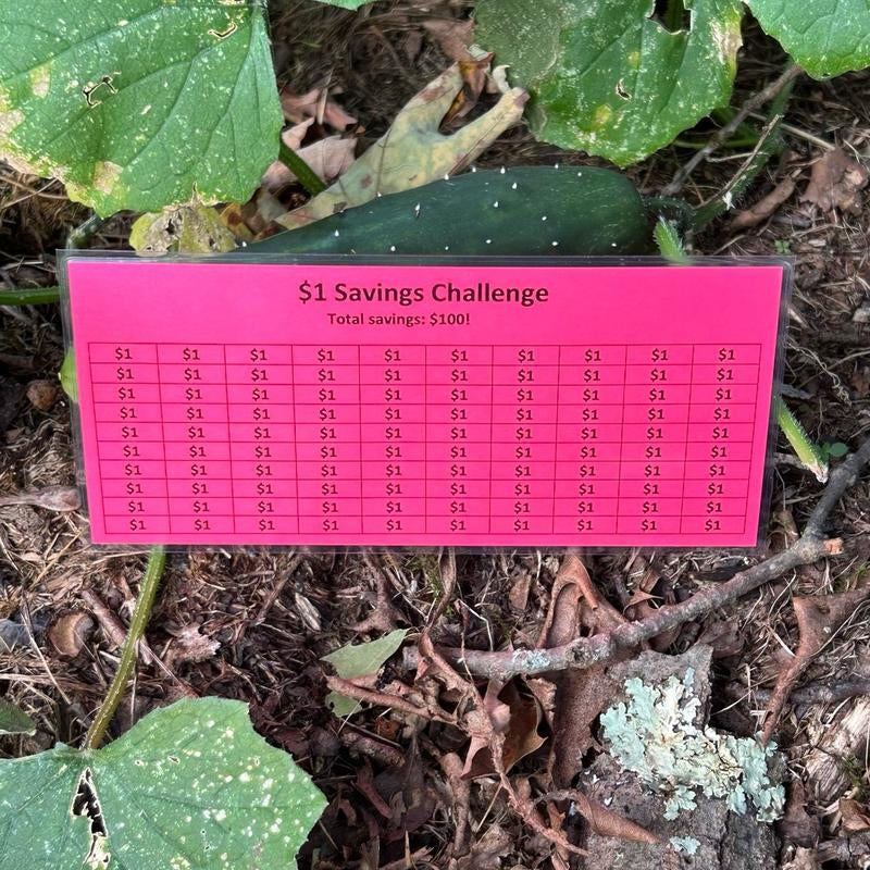 Laminated $1 Money Savings Challenge