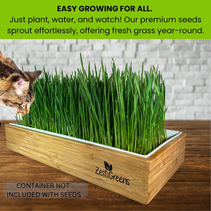 ZESTIGREENS Organic Cat Grass Seeds - Non-Gmo Blend of Wheat, Oats, Rye & Barley for Indoor Cats | Seeds Come in Food Grade Container with Lid for Easier Scooping & Keeping Fresher