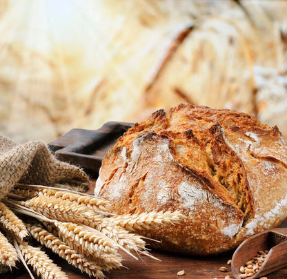 Banneton Bread Proofing Basket 9 Inch Set of 2 round Sourdough Bread Proofing Baskets Baking Supplies，Sourdough Starter Kit